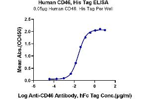 Immobilized Human CD46, His Tag at 0. (CD46 Protein (CD46) (AA 35-343) (His tag))