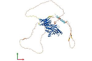 Protein Structure (PS) image for Synapsin III (SYN3) (AA 1-580) protein (His tag) (ABIN7544059)
