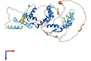 ZSCAN22 Protein (AA 1-491) (His tag)