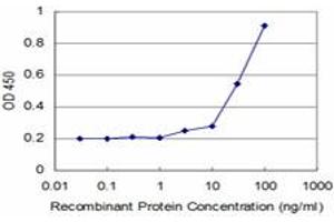 Detection limit for recombinant GST tagged TGIF2 is approximately 3ng/ml as a capture antibody. (TGIF2 Antikörper  (AA 131-236))