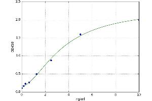 A typical standard curve (RPS6KB1 ELISA Kit)