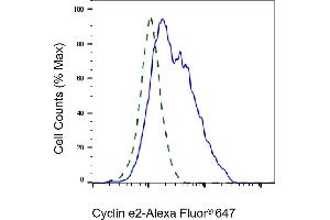 Validation of Cyclin e2 knockdown using flow cytometry. (Rekombinanter Cyclin E2 Antikörper)