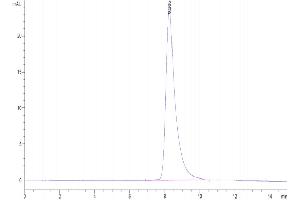 The purity of Biotinylated Mouse GFRAL is greater than 95 % as determined by SEC-HPLC. (GFRAL Protein (AA 20-350) (His-Avi Tag,Biotin))