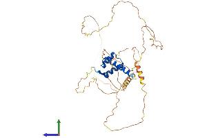 Protein Structure (PS) image for Homeobox A13 (HOXA13) (AA 1-388) protein (His tag) (ABIN7548357)