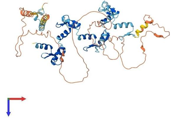 ZNF519 Protein (AA 1-540) (His tag)