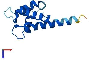S100A11 Protein (AA 1-98) (His tag)