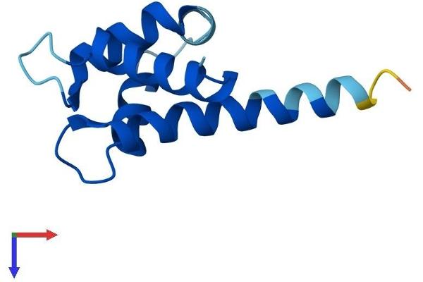 S100A11 Protein (AA 1-98) (His tag)