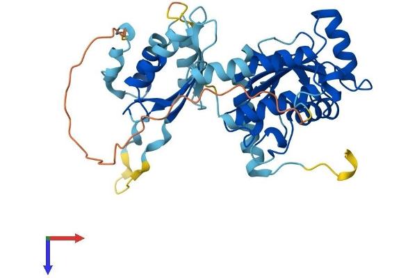 UBE2Q2 Protein (AA 1-378) (His tag)