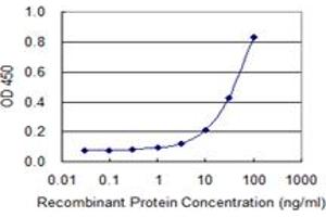 Detection limit for recombinant GST tagged IGF2BP2 is 1 ng/ml as a capture antibody. (IGF2BP2 Antikörper  (AA 1-598))