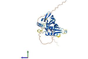 AlphaFold protein structure predicition of Human Recombinant MEDAG Protein, UniprotID Q5VYS4 (MEDAG Protein (AA 1-303) (His tag))