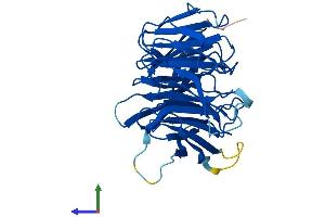 Protein Structure (PS) image for DDB1 and CUL4 Associated Factor 7 (DCAF7) (AA 1-342) protein (His tag) (ABIN7547031)