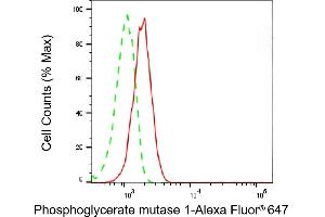 Flow cytometric analysis of Phosphoglycerate mutase 1 expression in C2C12 cells using Phosphoglycerate mutase 1 antibody (ABIN7799811), 1:2,000). (Rekombinanter PGAM1 Antikörper)