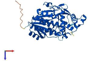 Protein Structure (PS) image for TDP-Glucose 4,6-Dehydratase (TGDS) (AA 1-350) protein (His tag) (ABIN7544402)