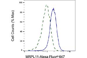 Validation of MRPL11 knockdown using flow cytometry. (MRPL11 Antikörper)