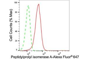 Flow cytometric analysis of Peptidylprolyl isomerase A expression in HepG2 cells using Peptidylprolyl isomerase A antibody (ABIN7799766), 1:2,000). (Rekombinanter PPIA Antikörper)