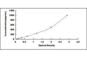 Typical standard curve (LETMD1 ELISA Kit)