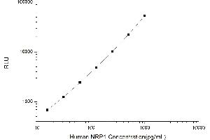 Typical standard curve (Neuropilin 1 CLIA Kit)