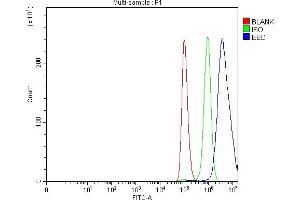 Flow Cytometry analysis of A549 cells using anti-EED antibody (ABIN7602442). (EED Antikörper  (AA 77-441))