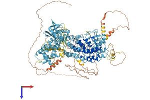 ANKRD27 Protein (AA 1-1050) (His tag)