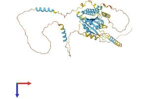 DYNC1LI2 Protein (AA 1-492) (His tag)