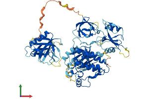 Protein Structure (PS) image for Nuclear Receptor Subfamily 4, Group A, Member 3 (NR4A3) (AA 1-630) protein (His tag) (ABIN7562999)