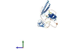 AlphaFold protein structure predicition of Human Recombinant FNBP1L Protein, UniprotID Q5T0N5