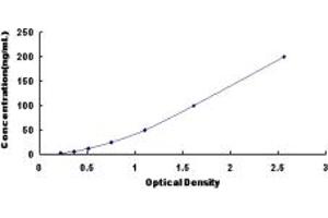 Typical standard curve (ITLN2 ELISA Kit)