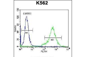 Flow Cytometry (FACS) image for anti-Prolactin (PRL) (AA 188-216), (C-Term) antibody (ABIN5531962)