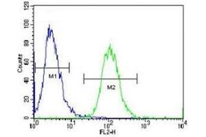 Flow Cytometry (FACS) image for anti-Aurora Kinase A (AURKA) (AA 364-392) antibody (ABIN3030073)