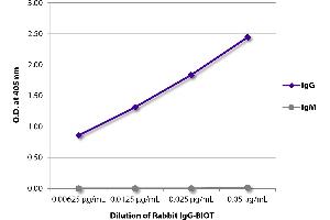 ELISA plate was coated with Goat Anti-Rabbit IgG-UNLB and quantified. (Kaninchen IgG isotype control (Biotin))