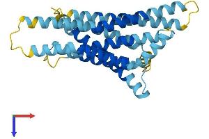 TAS2R16 Protein (AA 1-291) (His tag)