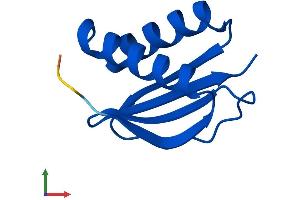 Protein Structure (PS) image for Dynein, Light Chain, LC8-Type 1 (DYNLL1) (AA 1-89) protein (His tag) (ABIN7547282)