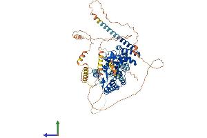 Protein Structure (PS) image for Patatin-Like phospholipase Domain Containing 8 (PNPLA8) (AA 1-776) protein (His tag) (ABIN7559480)