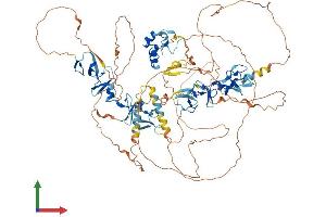 Protein Structure (PS) image for Actin Binding LIM Protein 1 (ABLIM1) (AA 1-861) protein (His tag) (ABIN7564673)