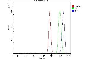 Flow Cytometry analysis of U87 cells using anti-ATR antibody (ABIN7602394).
