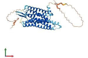 AlphaFold protein structure predicition of Human Recombinant BRS3 Protein, UniprotID P32247