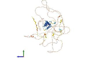 Protein Structure (PS) image for Forkhead Box O3 (FOXO3) (AA 1-672) protein (His tag) (ABIN7565242)
