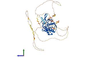 Protein Structure (PS) image for Synapsin I (SYN1) (AA 1-705) protein (His tag) (ABIN7544116)