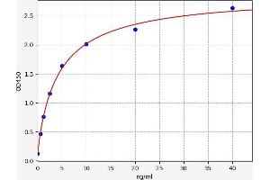 STAT2 ELISA Kit