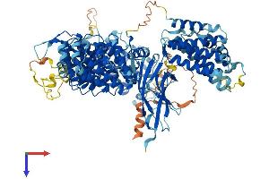 INTS4 Protein (AA 1-964) (His tag)