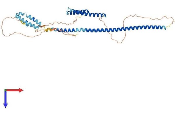 RILP Protein (AA 1-401) (His tag)