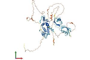Protein Structure (PS) image for Regulator of G-Protein Signaling 14 (RGS14) (AA 1-566) protein (His tag) (ABIN7555212)