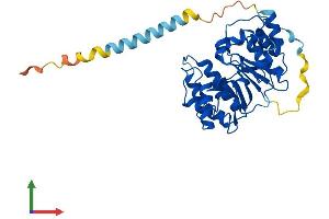 AlphaFold protein structure predicition of Human Recombinant A4GALT Protein, UniprotID Q9NPC4 (A4GALT Protein (AA 1-353) (His tag))