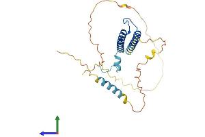 Protein Structure (PS) image for Myogenic Factor 6 (MYF6) (AA 1-242) protein (His tag) (ABIN7549659)