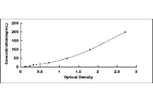 Typical standard curve