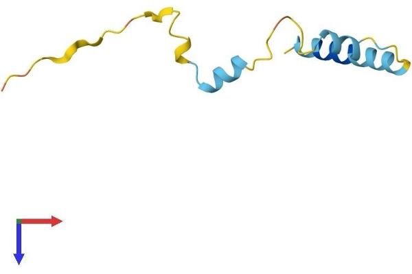NUPR1 Protein (AA 1-82) (Fc Tag)