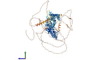 Protein Structure (PS) image for Potassium Voltage-Gated Channel, Shab-Related Subfamily, Member 1 (KCNB1) (AA 1-858) protein (His tag) (ABIN7554235)