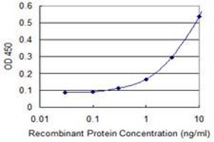Detection limit for recombinant GST tagged DHX9 is 0. (DHX9 Antikörper  (AA 1-90))