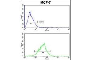 MDFIC Antibody (N-term) (ABIN652654 and ABIN2842440) FC analysis of MCF-7 cells (bottom histogram) compared to a negative control cell (top histogram).
