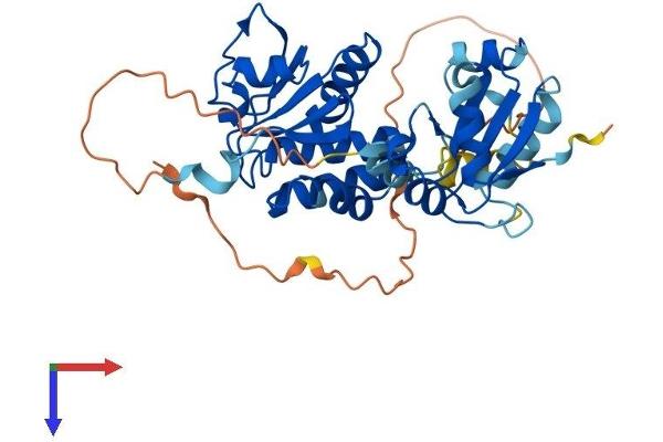 DUSP1 Protein (AA 1-367) (His tag)